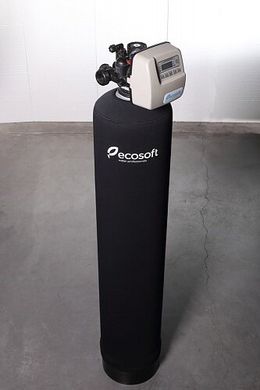 Фільтр для видалення хлору Ecosoft FPA 1252 CT